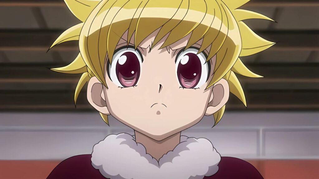 hunter x hunter biscuit krueger