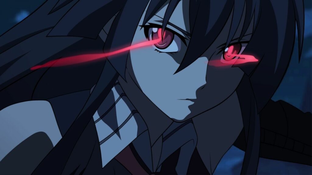 Akame Ga Kill