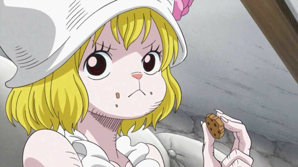 One Piece Carrot