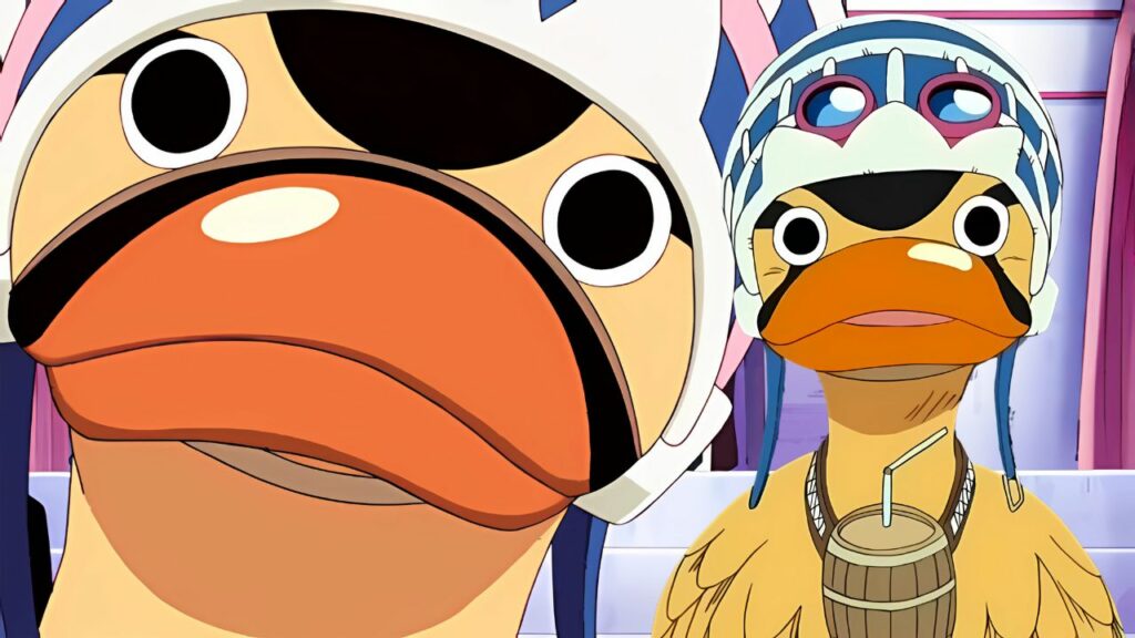 One Piece Karoo