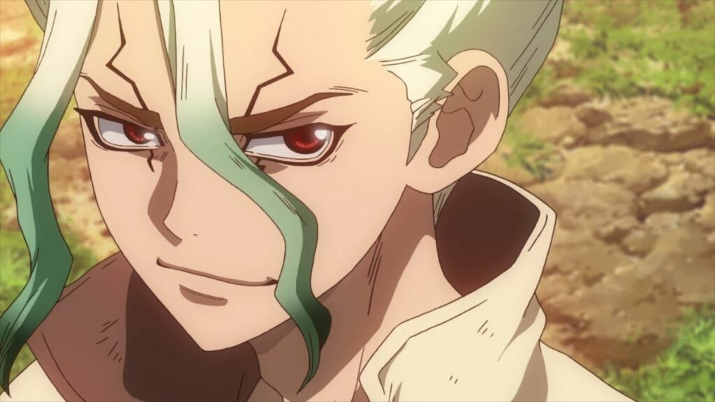 Dr. Stone