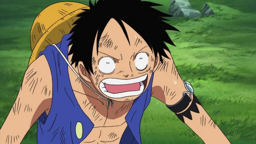 Eliminated Friends The Final Day of the Straw Hat Crew - One Piece
