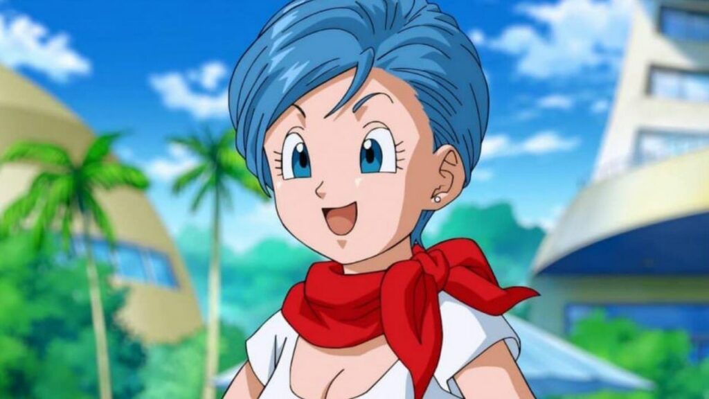 Bulma Briefs