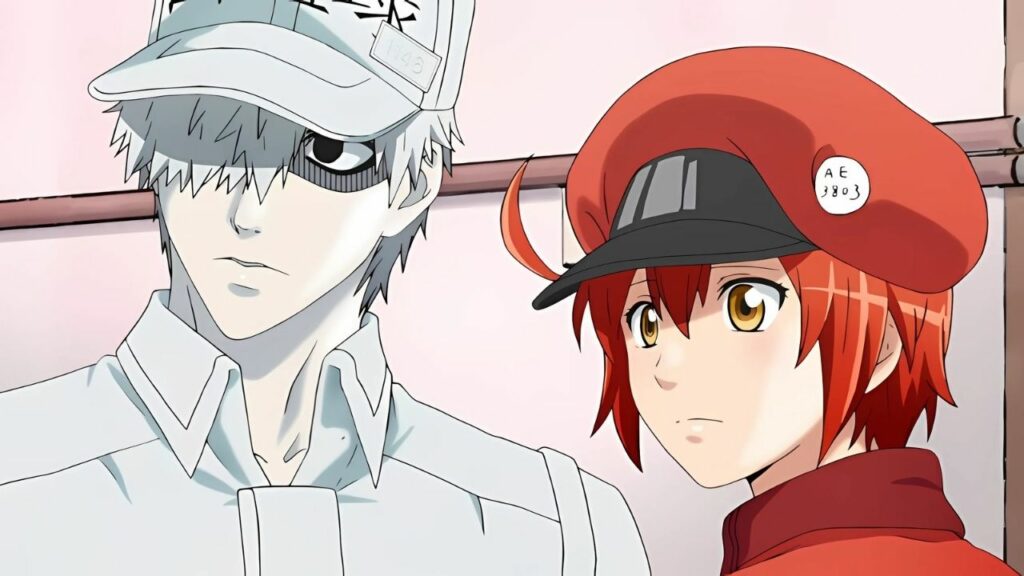 Cells at Work