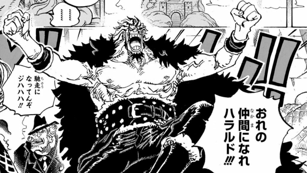 Rocks D Xebec