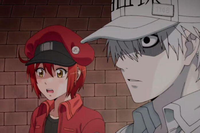 Dicas de animes curtos para assistir hoje