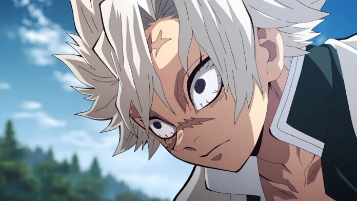 Demon Slayer shinazugawa