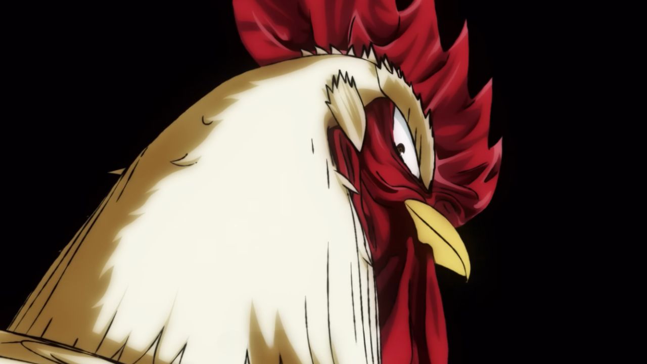 Rooster Fighter