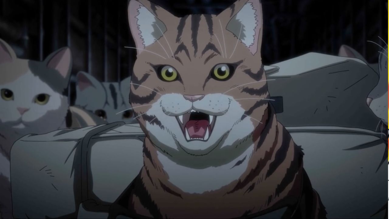 コミック・アニメ Gato Anime de Nyaight of the Living Cat domina o mundo com seus vídeos