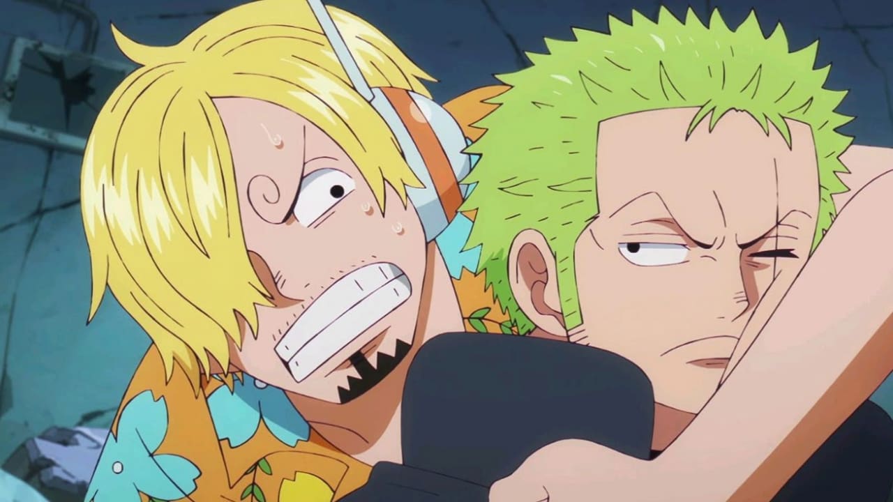 Zoro e Sanji One Piece