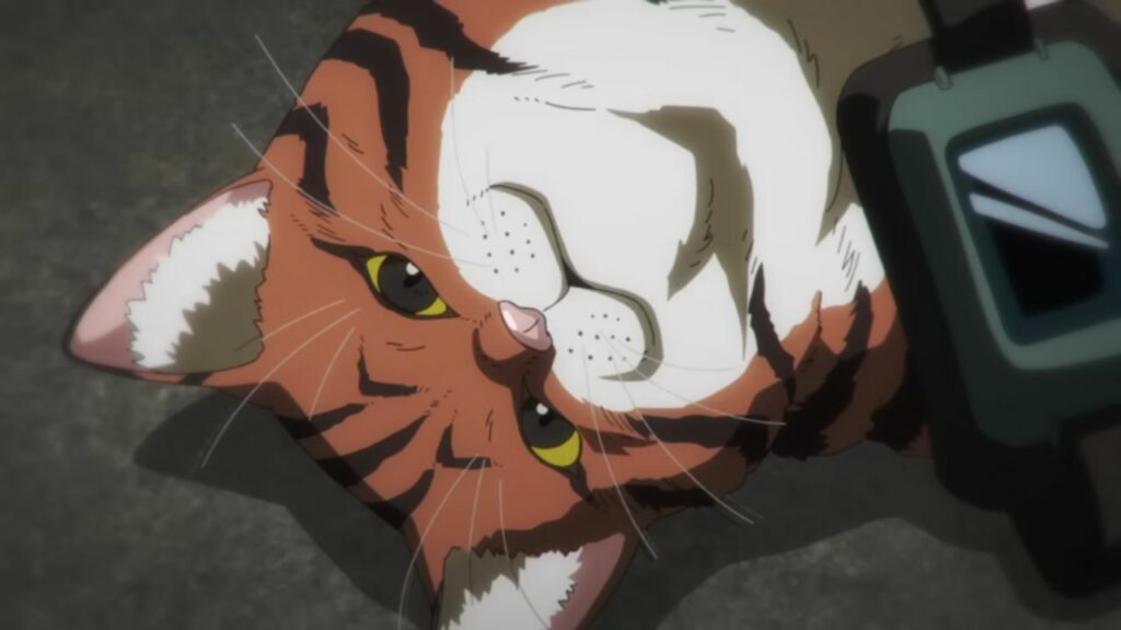 Nyaight of the Living Cat