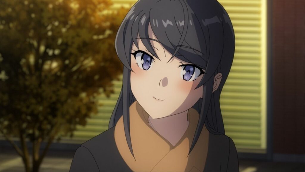 Rascal Does Not Dream of Bunny Girl Senpai