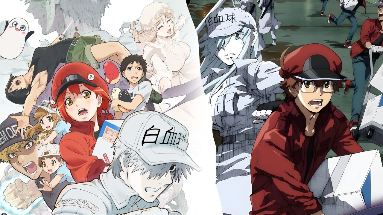 Cells at Work! Code Black