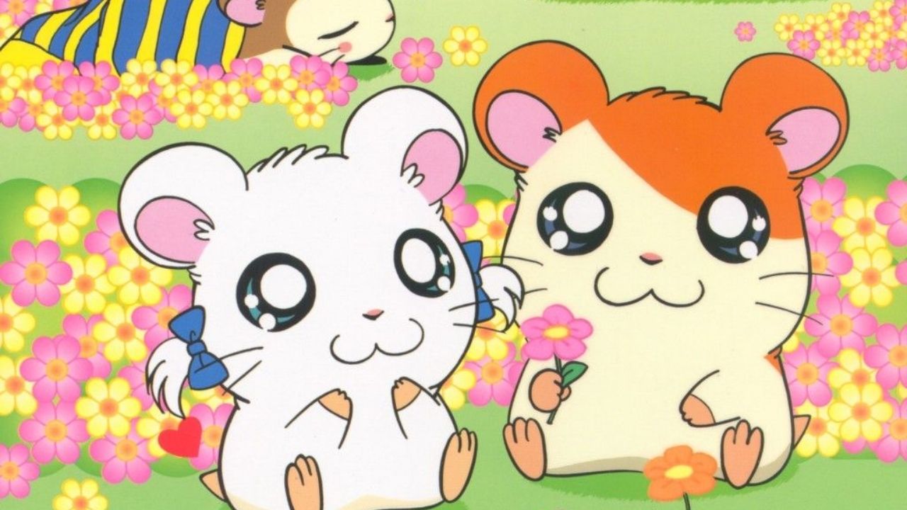 Hamtaro